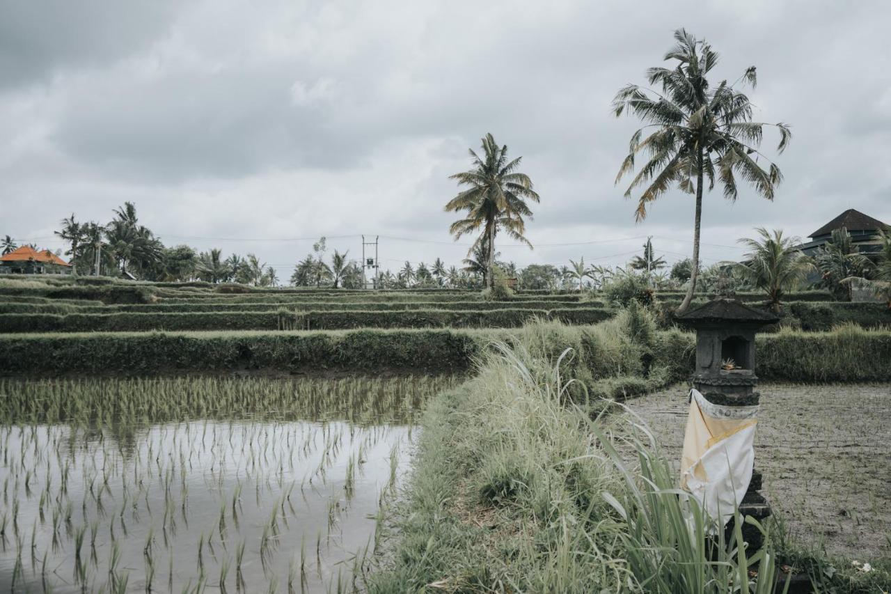 The Ning Resort Ubud Exteriör bild